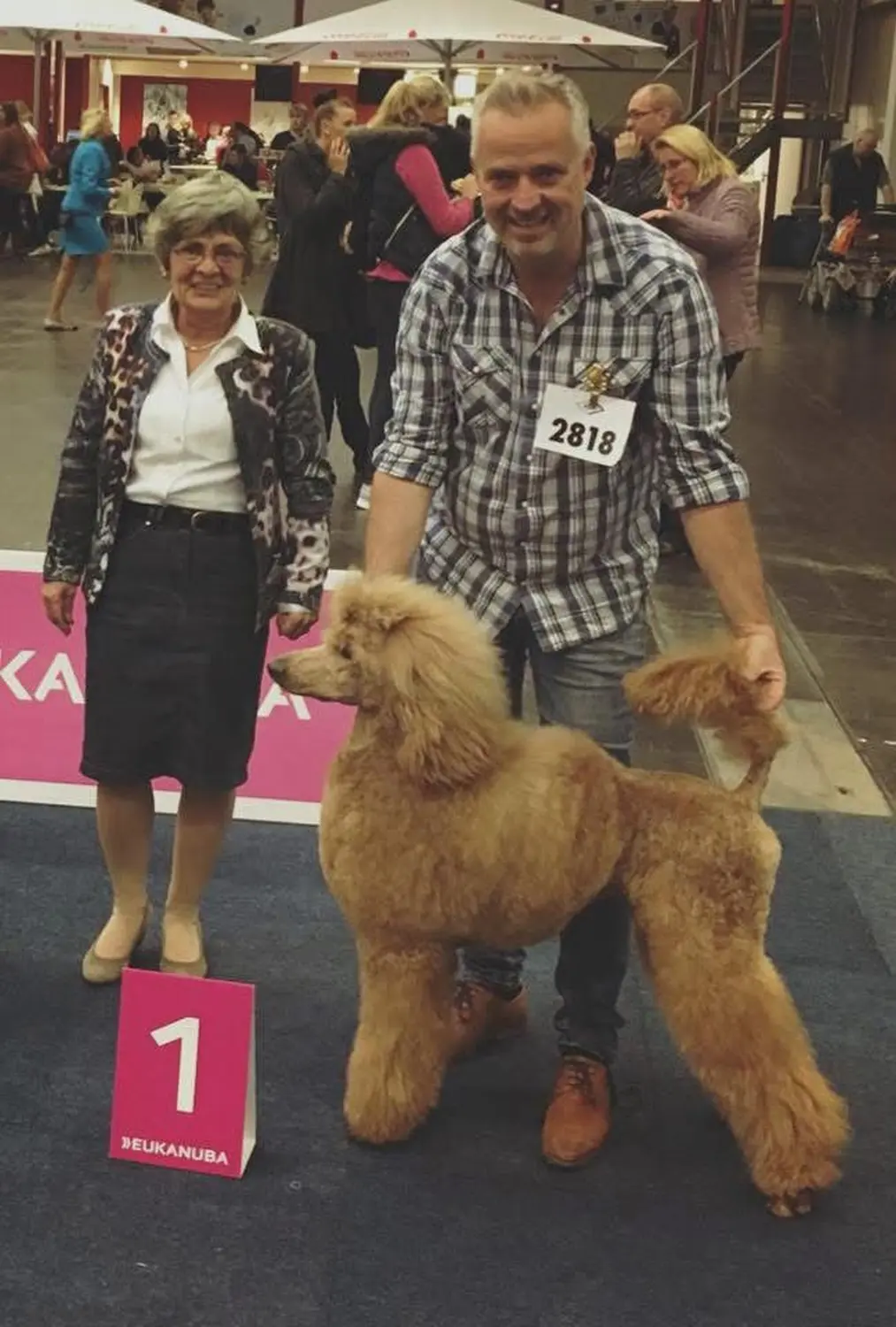 Pudel-von-Gold-Zwinger, Hundepfütze