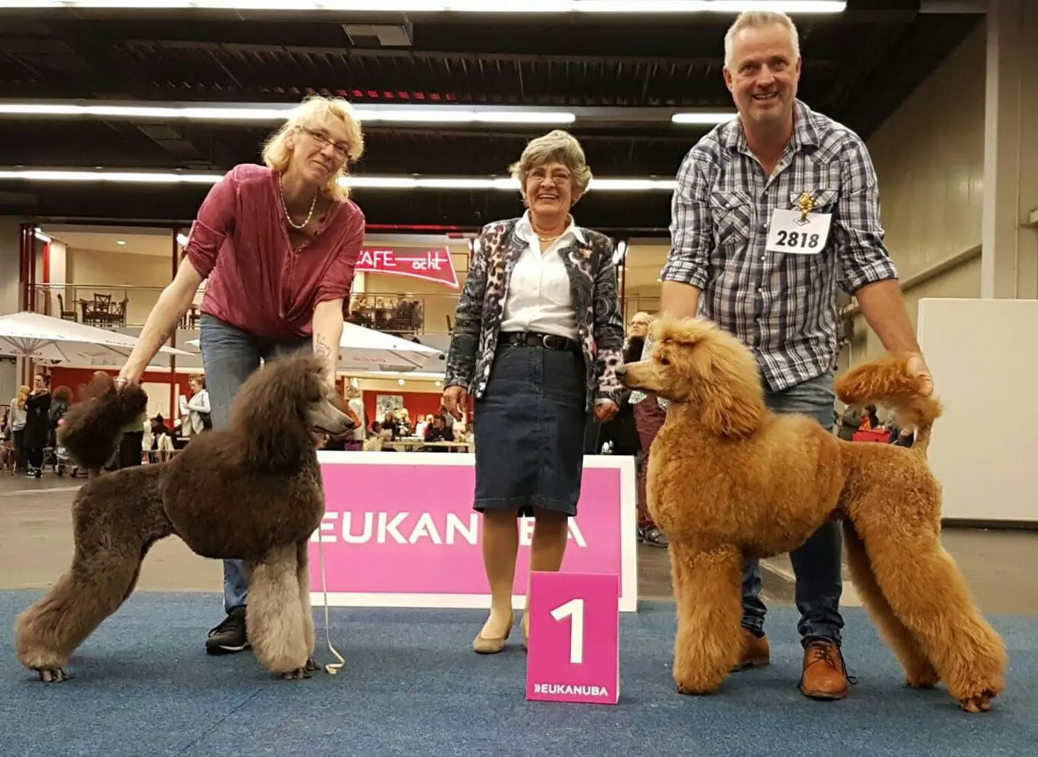 Pudel-von-Gold-Zwinger, Hundepfütze