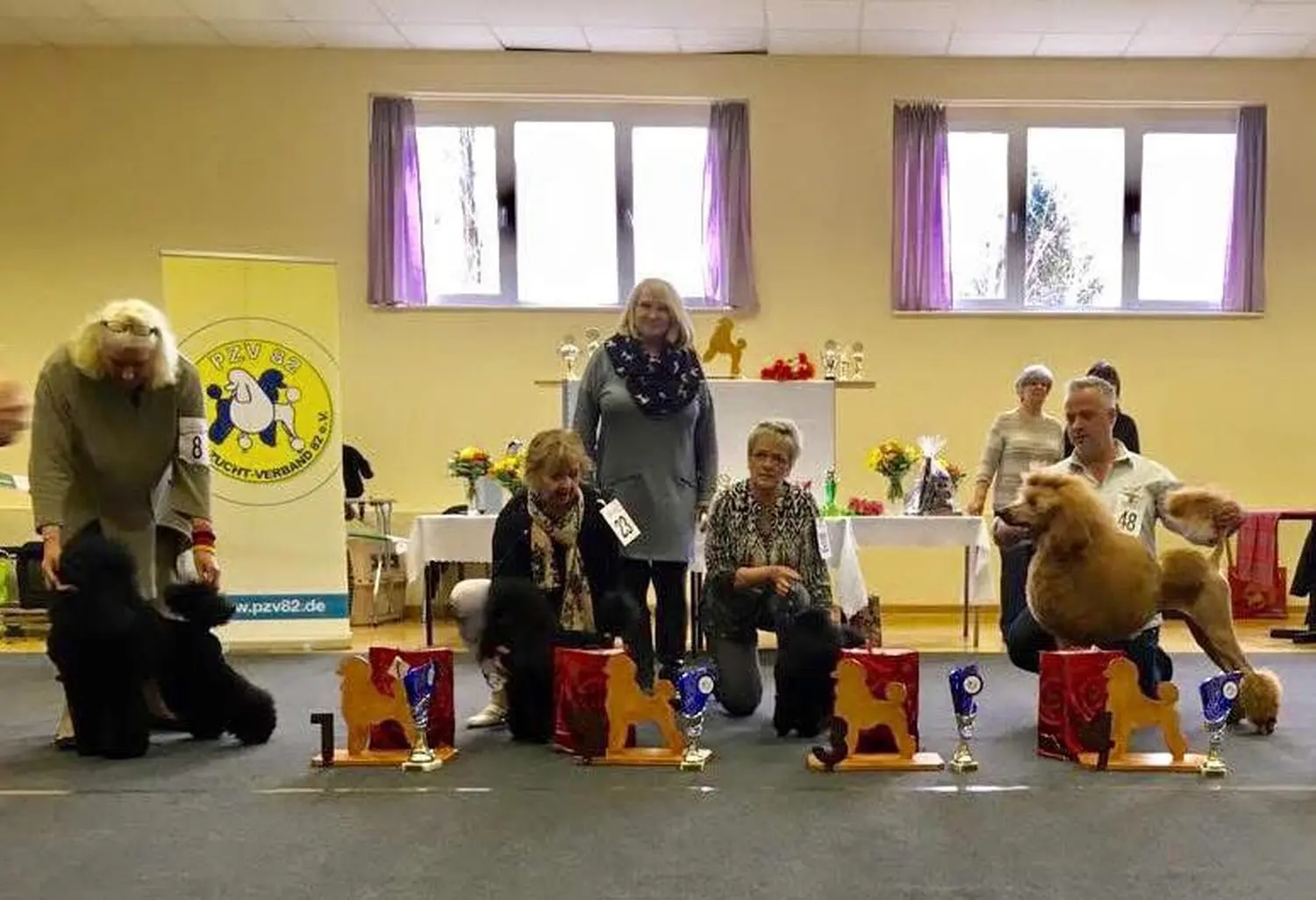 Pudel-von-Gold-Zwinger, Hundepfütze