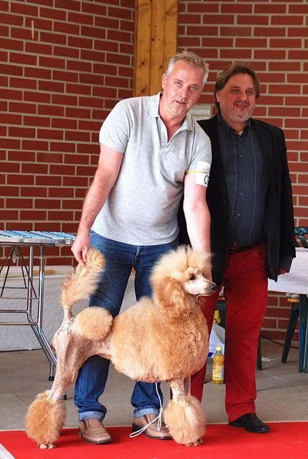 Pudel-von-Gold-Zwinger, Hundepfütze