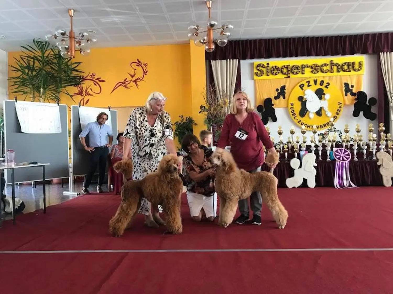 Pudel-von-Gold-Zwinger, Hundepfütze