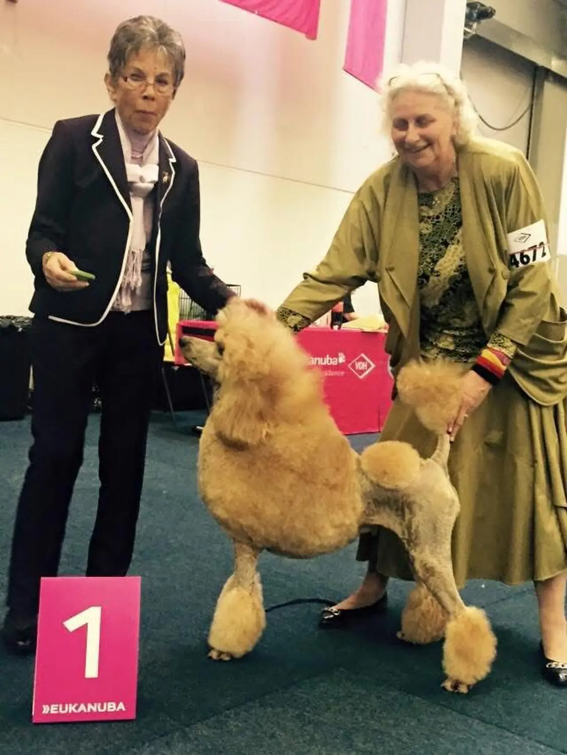 Pudel-von-Gold-Zwinger, Hundepfütze