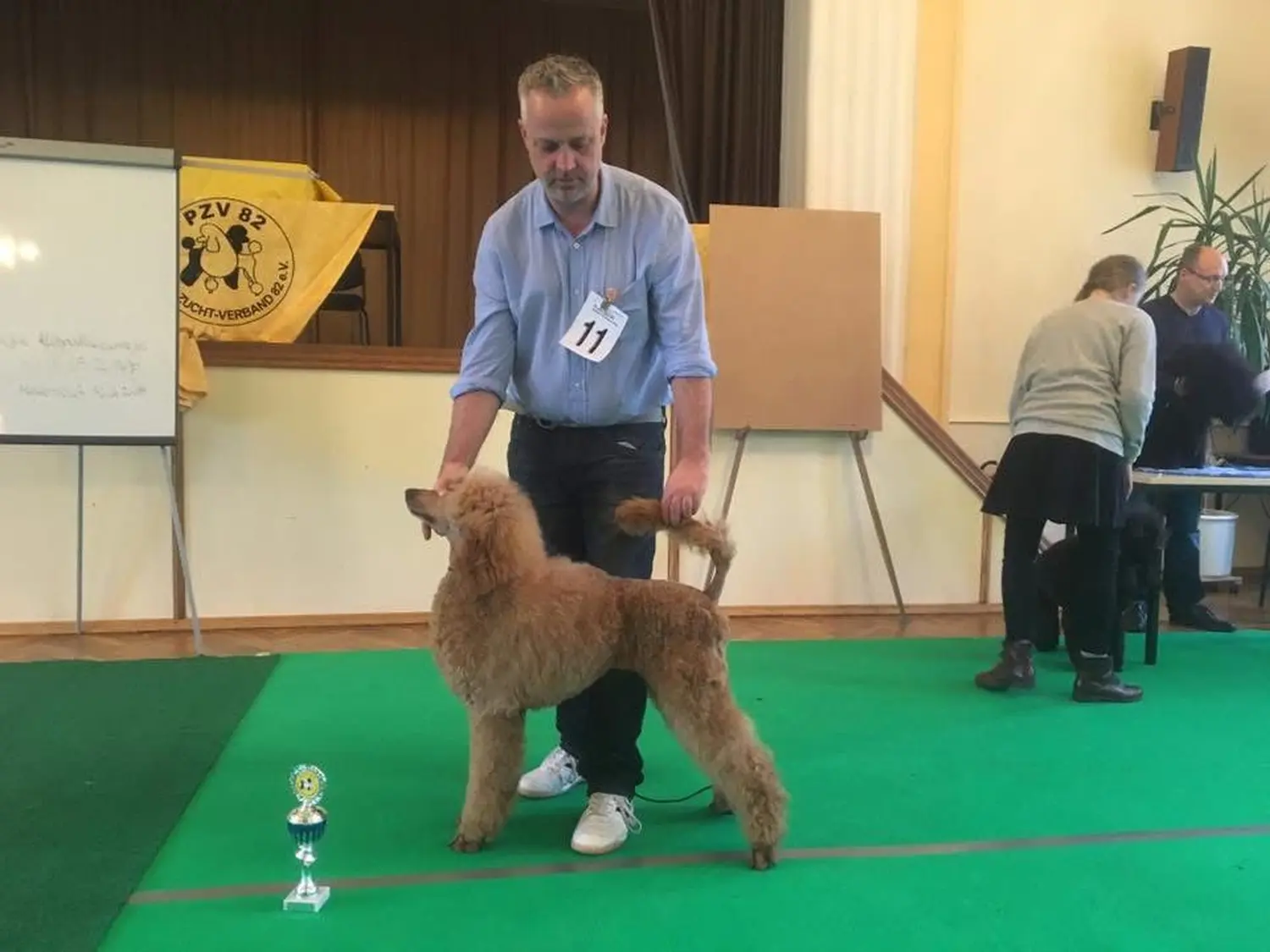 Pudel-von-Gold-Zwinger, Hundepfütze