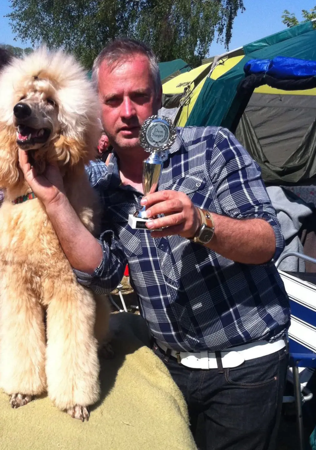 Pudel-von-Gold-Zwinger, Hundepfütze