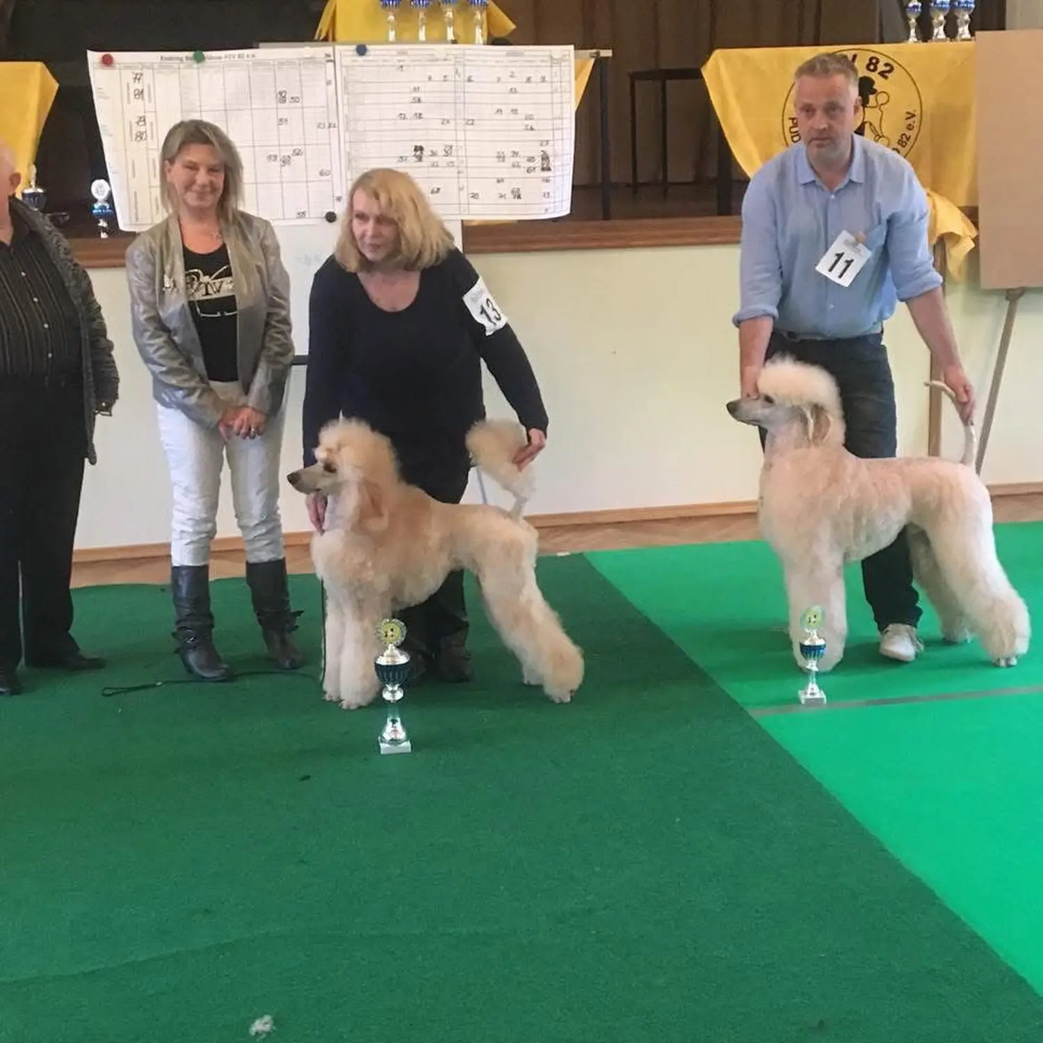 Pudel-von-Gold-Zwinger, Hundepfütze