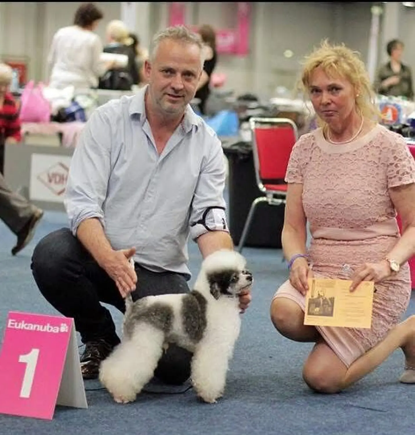 Pudel-von-Gold-Zwinger, Hundepfütze