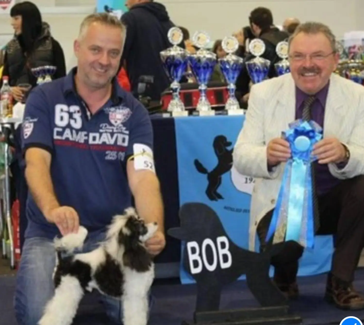 Pudel-von-Gold-Zwinger, Hundepfütze