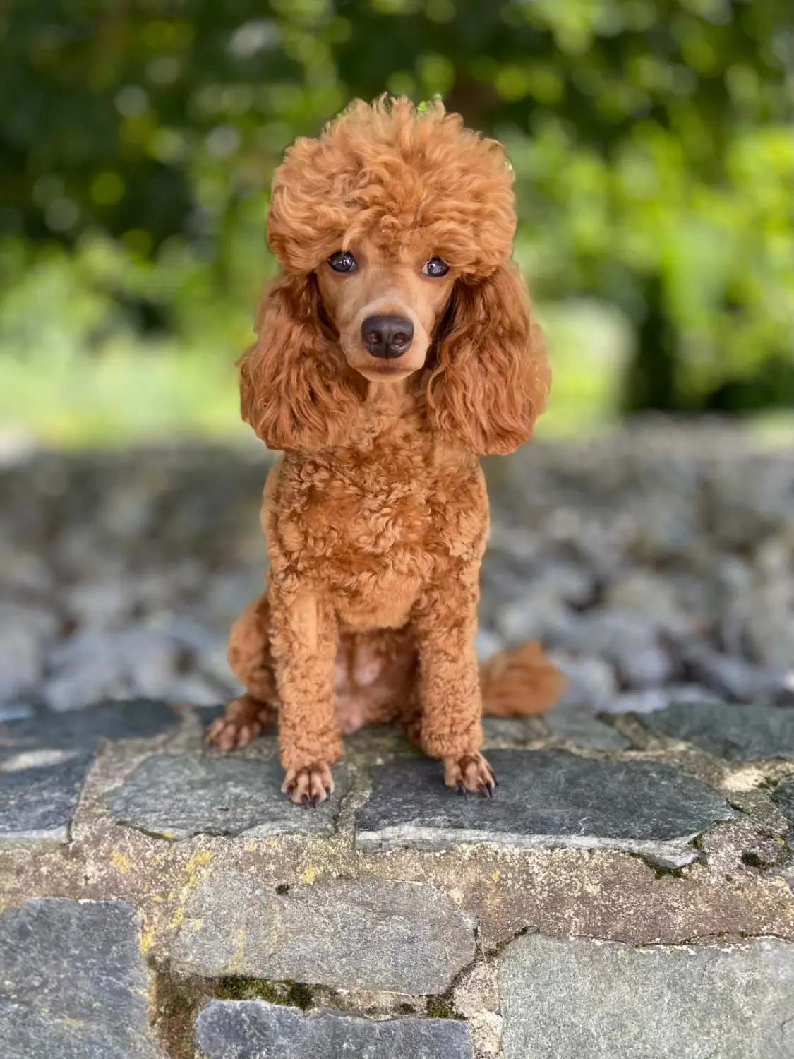 Up To Love Flying Noodle