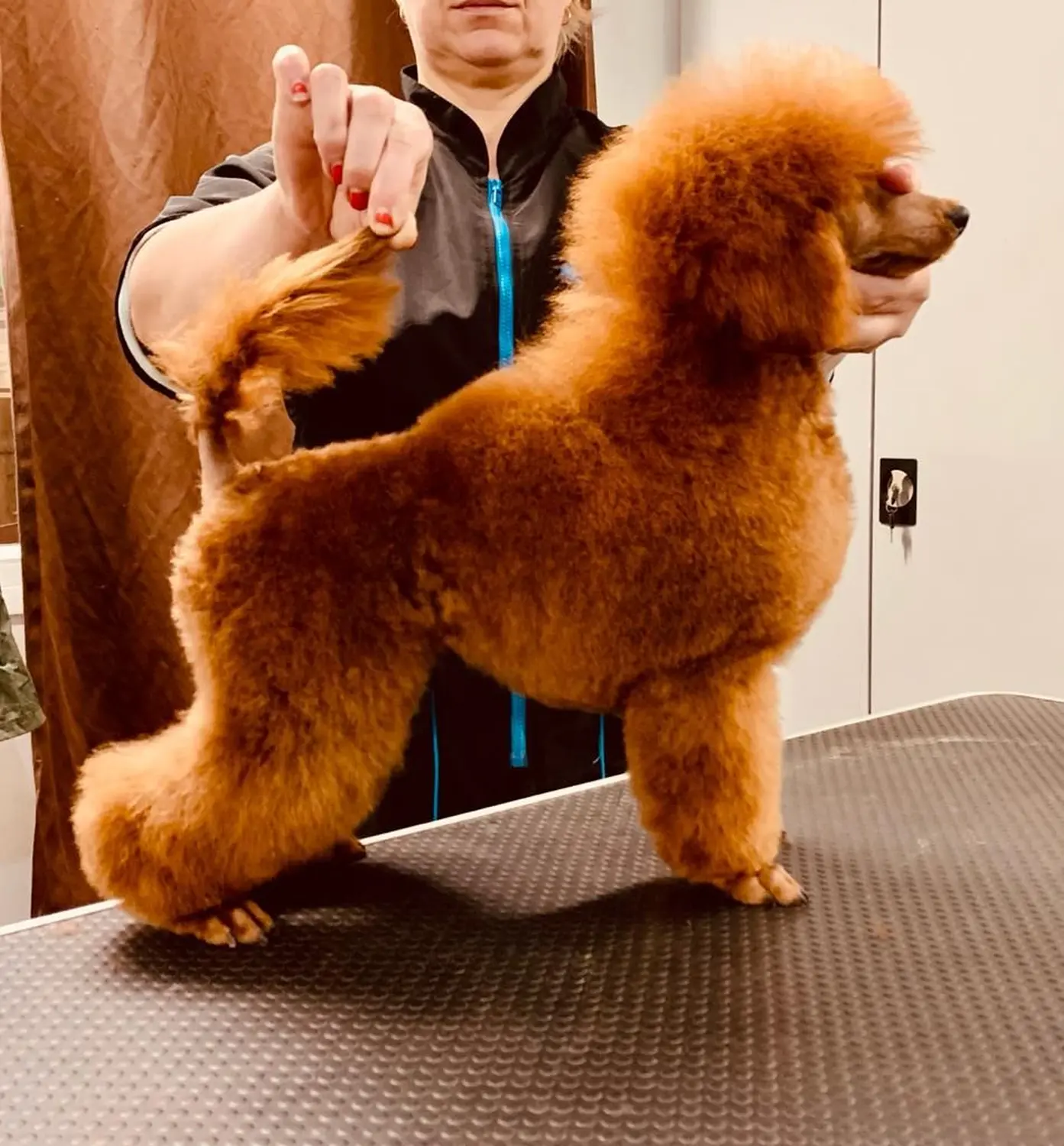 Tout Petit Prince Flying Noodle 